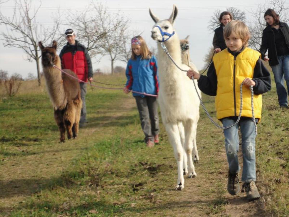 Ursenbacherhof Waibstadt Eksteriør bilde